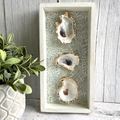 Shell Decorating Ideas, Oyster Wall Decor, Framed Shells, Framed Oyster Shells, Oyster Decor, Shell Pictures, Shells In Frame, Oyster Shell Art, Oyster Framed Art