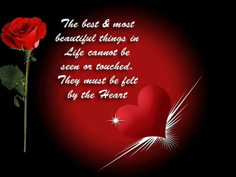 They must be felt by the heart Rose Love Quotes, Red Rose Love, Rose Quotes, Happy Anniversary Wishes, Message For Girlfriend, Falling In Love Quotes, Rose Images, Quote Iphone, Rosé Heart