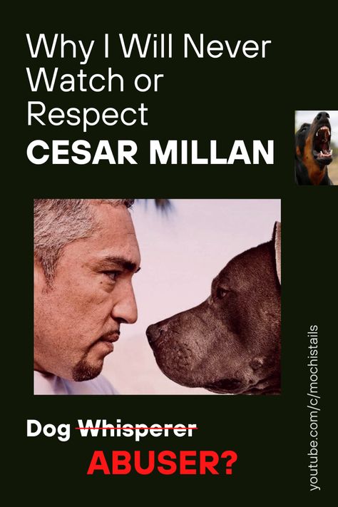 #dogtraining #dogs #dogsofpinterest #puppy #dogmom #dogdad #doggo #positivereinforcement #doptips #puppy #petstore #petshop #petsquotes #petdogs #petclothes #petscare #petcostumes #petgifts #petlover #petbed #cesarmillan Dog Whisperer, Cesar Millan, Positive Reinforcement, Pet Costumes, Pet Store, Pet Gifts, Pet Bed, Pet Shop, The Dog