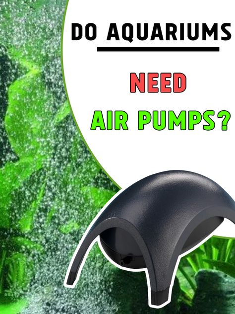 Do Aquariums Need Air Pumps? Aquarium Filter, Fish Aquarium, Aquascaping, Hang On, Freshwater Fish, Air Pump, Aquariums, Aquarium Fish, Fish Tank