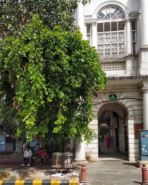 Random Corner at Connaught Circle! 🏛️ . . . .  #streetphotography #photography #street #travel #art #streetstyle #life #heritage #architecture #urban #urbanjungle #vsco #vscocam #city #delhi #india #connaughtplace #instatravel #instamoment #random #streetlife #nofilter #delhigram #delhibloggers @streets.of.delhi @lbbdelhincr @delhitourism_official @sodelhi @thetimesofindia @lonelyplanetindia @condenastindia @natgeoindia @travelandleisure Cannot Place Delhi, Connaught Place Delhi Photography, Connaught Place Delhi Aesthetic, Cityscape Reference, Delhi Cafe, Delhi Connaught Place, Delhi Places, Delhi Aesthetic, Delhi Restaurants