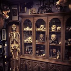 I would love a cabinet of skulls and a full skeleton in our home #dreamhome Deer Creepy, Cer Nocturn, Cabinet Of Curiosity, Caravan Renovation, Goth Home, Cabinet Of Curiosities, The Skeleton, Gothic Decor, Gothic Home Decor