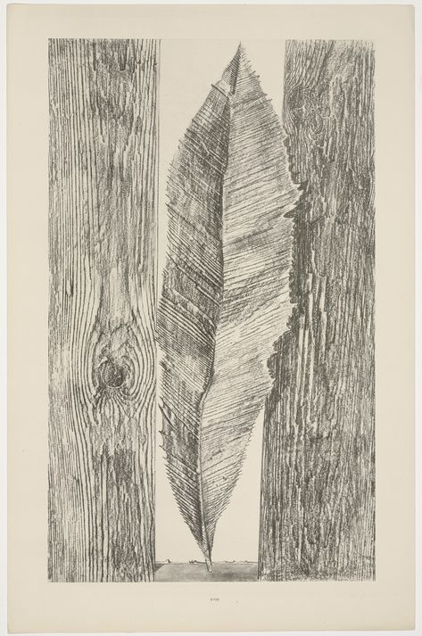 Max Ernst. The Habit of Leaves (Les Moeurs des feuilles) from Natural History (Histoire naturelle). c. 1925, published 1926 | MoMA Hans Arp, Yves Klein, Gustave Dore, Max Ernst, Drawing Prints, Wassily Kandinsky, Leaf Art, Film Stills, Art Google