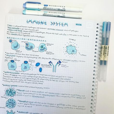 [ s t u d y g r a m ]( ◠‿◠ )🐢 no Instagram: “Hey so I love my Muji gel pens and these are my biology notes on the immune system😊 Salut donc j’adore mon stylos gel Muji et voilà mes…” Immune System Notes, Muji Gel Pens, Machine Learning Deep Learning, Biology Resources, Gcse Science, Science Notes, Biology Notes, The Immune System, Studying Inspo