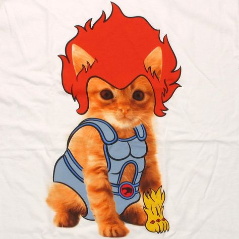 Hilarious Thunderkitty Shirt Thundercats, Cat T Shirt, Cat T, Comic Books Art, Cuteness Overload, Cat Tshirt, Just For Fun, Cat Art, Lion