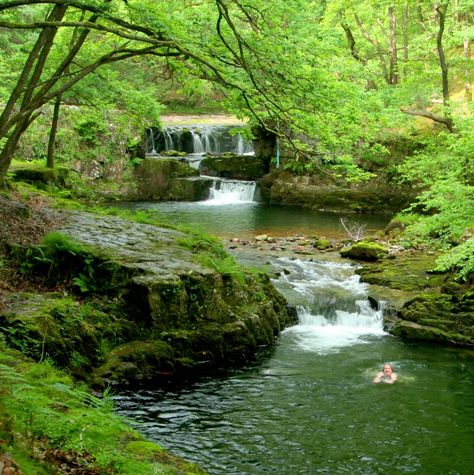 Plunge Pools, Wild Camp, Dartmoor National Park, Wild Swimming, Plunge Pool, Swimming Holes, Deep Forest, Close To Home, Travel Goals