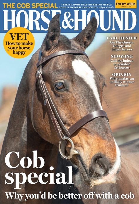 This week's magazine is The Cob Special in which we celebrate this wonderful and typically very versatile characters. Find out more about what else is inside at https://www.horseandhound.co.uk/publication/horse-and-hound-magazine/horse-hound-23-may-2019 Fat Horse, Horse Magazine, Show Jumping Horses, Sport Magazine, Vet Clinics, Business Magazine, Horses For Sale, Show Jumping, Horse Care