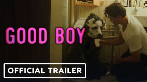 Good Boy - Official Trailer (2023) Gard Løkke, Katrine Lovise Øpstad Fredriksen Boy Movie, Movies For Boys, Movie 2023, Puppy Play, Online Newspaper, Official Trailer, Good Boy, Perfect Match, Newspaper