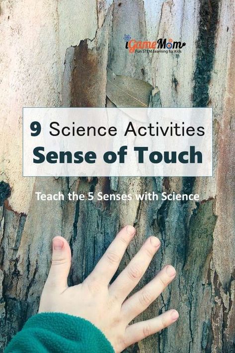 Learn sense of touch facts by science experiments. Fun STEM activities for the 5 senses unit for preschool kindergarten to school age. Why can we feel different objects, do all parts of our body has the same sensitivity? Cool science fair project ideas. #STEMforKids #ScienceForKids #ScienceActivities #FiveSenses #SenseOfTouch #STEMactivities #ScienceFair #iGameMomSTEM #5SensesActivities Science Fair Project Ideas, 5 Senses Activities, Cool Science Fair Projects, Fun Stem Activities, Senses Activities, About Me Activities, 5 Senses, Sense Of Touch, Science Activities For Kids