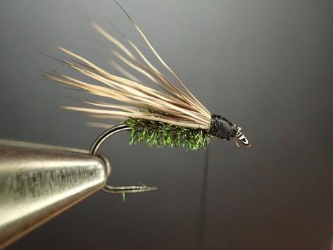 Peacock Caddis by Nicole March – Dette Flies Bass Flies Pattern, Best Trout Flies, Fly Fishing Lanyard, Fly Fishing Nymphs, Caddis Fly, Fly Fishing Knots, Fly Tying Vises, Fly Fishing For Beginners, Fly Tying Desk