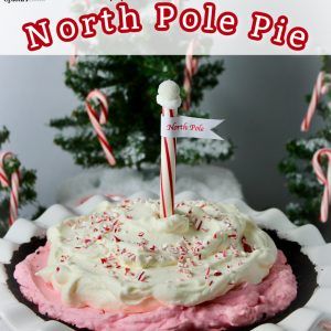 Peppermint Bark Pie, Holiday Pies Christmas, Peppermint Cream Pie, Chocolate Peppermint Pie, Peppermint Pie Recipe, Peppermint Mousse, Peppermint Pie, Homemade Ganache, Easy Homemade Dog Treats