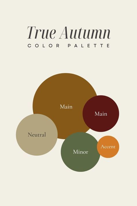 Fall Outfit Color Palette, November Color Palette, Light Academia Color Palette, Academia Color Palette, Light Academia Colors, Outfit Color Palette, November Colors, Friendsgiving Dinner, Fall Color Palette