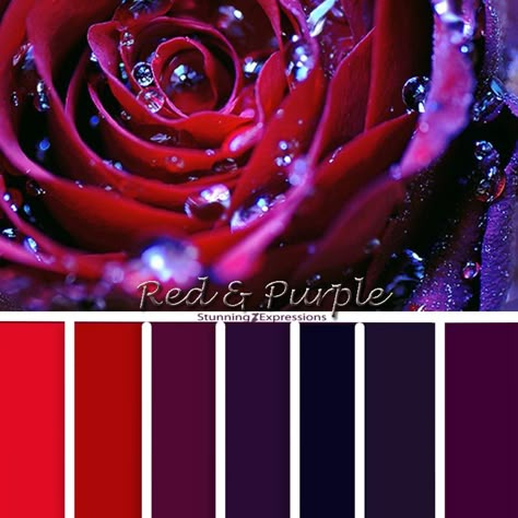 Red Black Purple Color Palette, Purple And Red Color Scheme, Purple And Red Colour Palette, Dark Rose Color Palette, Character Pallete, Red Purple Black Wedding Color Schemes, Purple Red Color Palette, Purple And Red Color Palette, Red Purple Color Palette