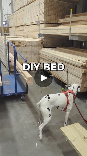 Day Bed Plans Diy, Raise A Bed Frame, Diy Full Size Bed Frame Plans, King Size Corner Bed Ideas, Diy King Bed Frame Plans, Diy Day Bed Frame, Full Size Bed In Small Room Layout, Bed Frame Diy King, How To Build A Bed Frame