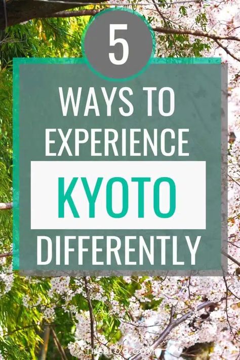 Don't be just an average tourist in Japan and check all the usual touristy places and activities in Kyoto. Here are 5 ways to experience Kyoto differently so that the memories of your Japanese travel remain with you as just the best vacation ever! Imperial City, Japanese Travel, Japanese History, Historical Places, Historical Place, The Memories, Best Vacations, Places Around The World, 5 Ways