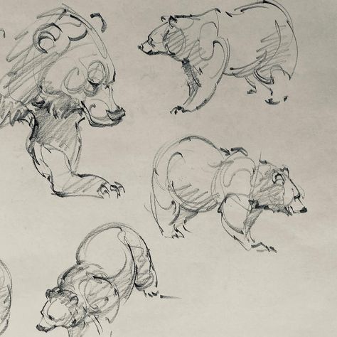 Richard Powell (@rchrd.powell) • Instagram photos and videos How To Draw Stuffed Animals, Animal Gesture Drawing, Nature Drawing Tutorial, Art Reference Animals, Bison Sketch, Animal Drawing Reference, Animal Sketch Ideas, Animal Reference Photos, Bear Reference