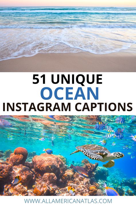 These ocean Instagram captions and quotes will seriously blow your follower's minds, as you share the emotional ocean quotes and funny ocean quotes. Instagram isn't just for photos - it's for what we say about those photos, so use these Instagram captions about the ocean for major bonus points! Aquarium Quotes Instagram, Ocean Quotes Instagram, Aquarium Captions Instagram, Ocean Breeze Quotes, Ocean Captions Instagram, Ocean Instagram Captions, Water Captions, Ocean Captions, Sea Captions