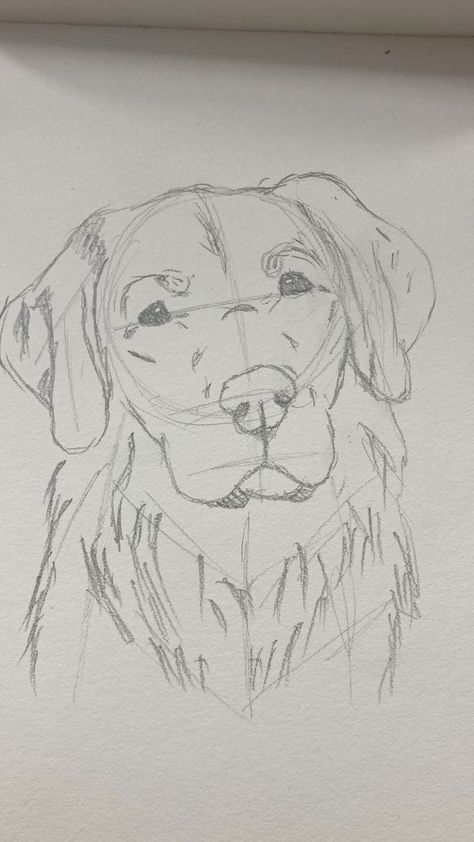 Sketch Book Animal, Sketch Of Golden Retriever, Dogs Drawing Sketches, Golden Retriever Simple Drawing, Drawing Of Dogs Sketches, How To Sketch A Dog, Cat And Dog Sketch, Dog Sketch Ideas, Realistic Dog Sketch