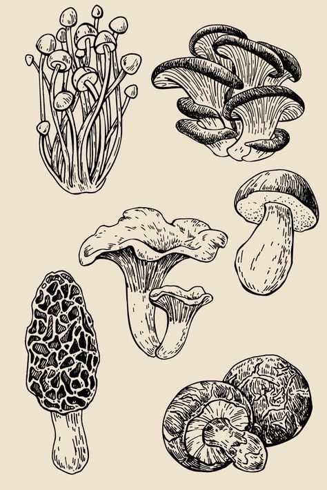 Tato Flash, Easy Drawing Steps, Mushroom Tattoos, Mushroom Drawing, Pencil Drawings Easy, Wood Carving Tools, Arte Sketchbook, Mushroom Art, Carving Tools