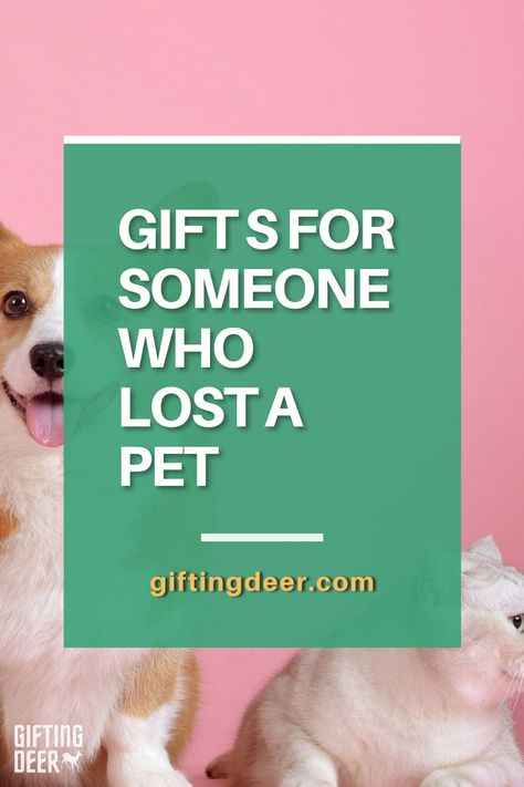 Pet Died Gift, Pet Loss Gift Basket, Pet Memorial Gifts Diy, Loss Of Pet Gift Ideas, Gift For Friend Who Lost A Dog, Pet Remembrance Gifts, Gift For Loss Of Dog, Loss Of A Dog Gifts, Gift For Someone Who Lost A Pet