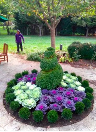 Flowering Kale: The Coolest Cool-Season Ornamental - Here By Design Flowering Kale, Ornamental Cabbage, Flower Bed Designs, Fall Garden Vegetables, Recycled Garden, Have Inspiration, Flower Landscape, Front Yard Garden, Flower Bed