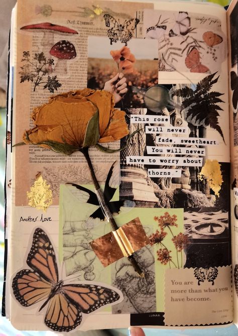 Burnt Orange theme journal page idea with butterfly stickers, pressed rose pressed flowers on vintage paper. Vintage themed with gold accents and mushroom stickers. This rose will never fade, sweetheart. You will never have to worry about thorns Orange Theme Journal, Dried Flowers Journal, Vincent Van Gogh Aesthetic, Van Gogh Aesthetic, Theme Journal, Mushroom Stickers, Everything Book, Botany Art, Flowers Journal