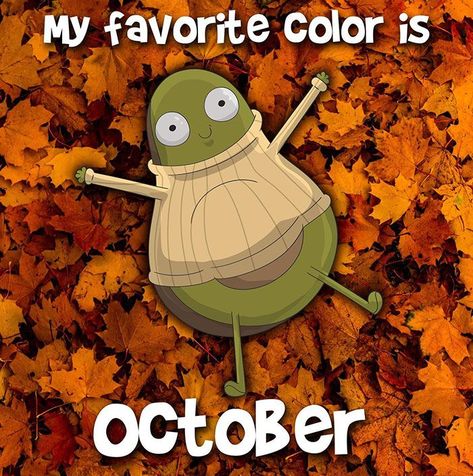 Funny Cat Pfp, October Memes, October Is My Favorite, Cat Pfp, Funny Pumpkins, My Favorite Color, Pumpkin Theme, Funny Cat, Fall Season