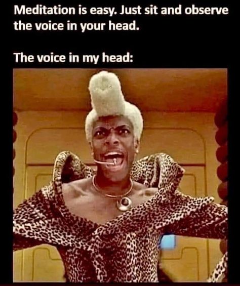 Off Color Humor, Quotes Hilarious, Fifth Element, Funniest Memes, Morning Humor, Bones Funny, Mood Pics, Funny Cute, Make Me Smile