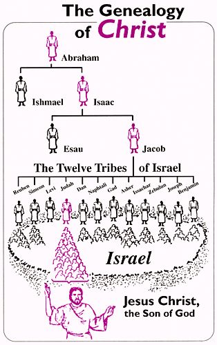 Light from the Old Testament - Lesson 3 (Part 1) Jacob Wrestles With God, Bible Genealogy, Learn The Bible, Bible Study Topics, Bible Study Help, Bible History, Bible Study Notebook, Christian Bible Study, Tarot Astrology