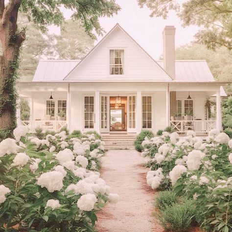 Scarlett Knuth | Are you a hydrangea lover? I need a bestie who can come over and help me plant 100 hydrangeas like this in my backyard please and thank… | Instagram White House With Hydrangeas, Beach House With Hydrangeas, Hydrangea Driveway, White House Hydrangeas, Hydrangea Cottage Garden, Hydrangea Beach House, Hydrangea Farm, Australian Country Houses, Old Home Remodel