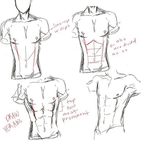 Abs Anime Abs Sketch, How To Draw Abs, Sketching Ideas, Shirt Drawing, Body Anatomy, Anime Drawing, Art How, Drawing Tips, Male Body