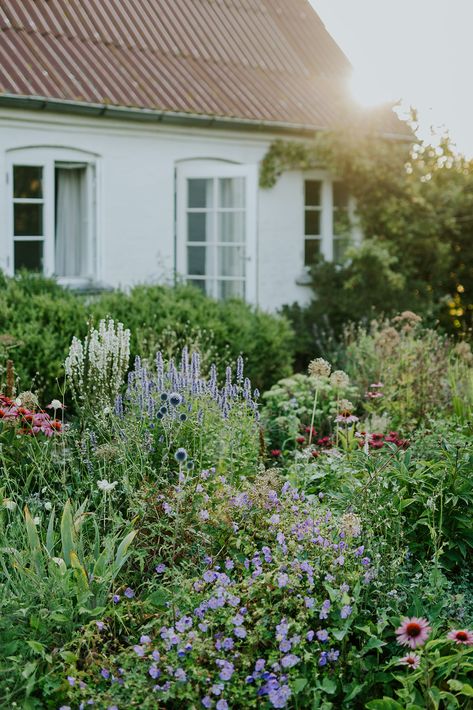 Camilla Garden July and August Swedish Cottage Garden, Swedish Garden, Swedish Cottage, Cottage Modern, Wild Flower Meadow, Permaculture Gardening, Cottage Garden Plants, Sloped Garden, Magical Garden