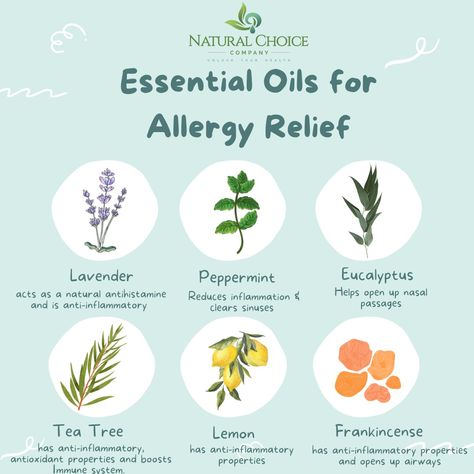 Allergies consist of itchy water eyes, sneezing, congestion etc.... Essential oils can be effective to help alleviate allergy symptoms by diffusing or placing topically by diluting them with a carrier oil. Some essential oils that help with allergy relief are Lavender,  Peppermint, Eucalyptus, Tea tree, lemon , frankincense, chamomile, or rosemary. Many of these oils have anti-inflammatory properties and help clear nasal passages. Try diffusing or making a roll-on with these essential oils. Remedies For Sinus Congestion, Sinus Relief Essential Oils, Allergy Relief Essential Oils, Water Eyes, Remedy For Sinus Congestion, Essential Oils Allergies, Sinus Remedies, Home Remedies For Sinus, Natural Antihistamine