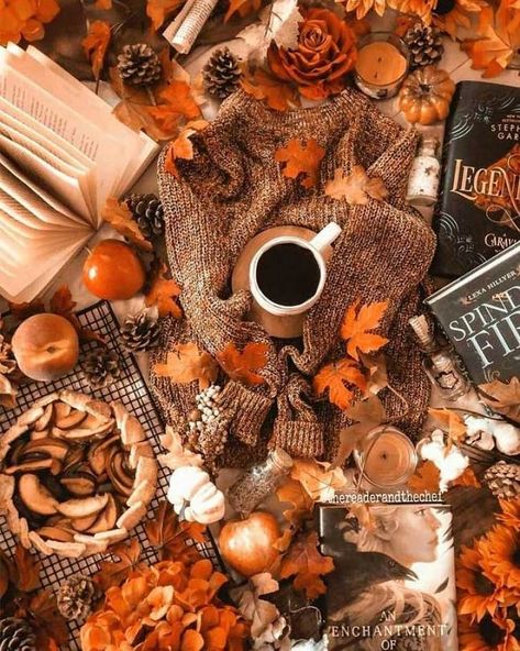 ALWAYS AUTUMN HERE🍁 on Instagram: “#autumn🍁 #autumn #fall #cozy #orange #coffee #candles #halloween #spooky #autumnleaves #pumpkins #halloweentown #hocuspocus #october…” Fall Back Patio Decorating Ideas, Days Until Halloween, Fall Images, Fall Mood, Spooky Szn, Fall Background, Wallpaper Pastel, Fall Inspiration, Fall Feels