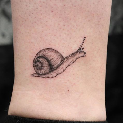 k on Instagram: “✒ All we need is a safe place to sleep ✒ another snail for Lauren 😍 (we might have a secret snail tattoo project in the works) thank you🤗✨…” Moon Snail Shell Tattoo, Snail Tattoo Fine Line, Mystery Snail Tattoo, Matching Snail Tattoo, Garden Snail Tattoo, Realistic Snail Tattoo, Cute Snail Tatoos, Snail Tattoo Cute, Snail Tatoos