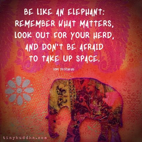 "Be like an elephant: Remember what matters, look out for your herd, and don't be afraid to take up space." ~Lori Deschene⠀ Elephant Spirit Animal, Elephant Quotes, Elephant Facts, Take Up Space, Tiny Buddha, Elephant Illustration, Elephant Lover, Elephant Love, Don't Be Afraid