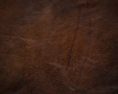 Dark Brown Leather Texture Photograph by Billnoll Leather Texture Seamless, Brown Fabric Texture, Brown Leather Texture, Brown Texture, 3d Texture, Natural Fabric, Materials And Textures, Boho Living, Brown Aesthetic