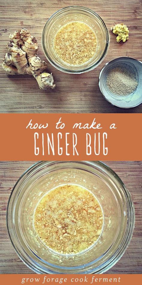 Holistic Herbalism, Fermented Soda, Cooking Woman, Fermenting Recipes, Kombucha Brewing, Ginger Beer Recipe, Fermented Drinks, Ginger Bug, Natural Ginger