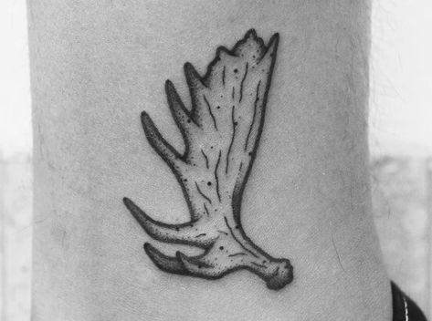 10+ Moose Antler Tattoo Designs | PetPress Moose Paddle Tattoo, Moose Horn Tattoo, Northern Tattoo Ideas, Small Alaska Tattoo Ideas, Moose Antler Tattoo With Flowers, Small Alaska Tattoo, Alaskan Native Tattoos, Moose Antler Tattoo For Women, Moose Antlers Drawing