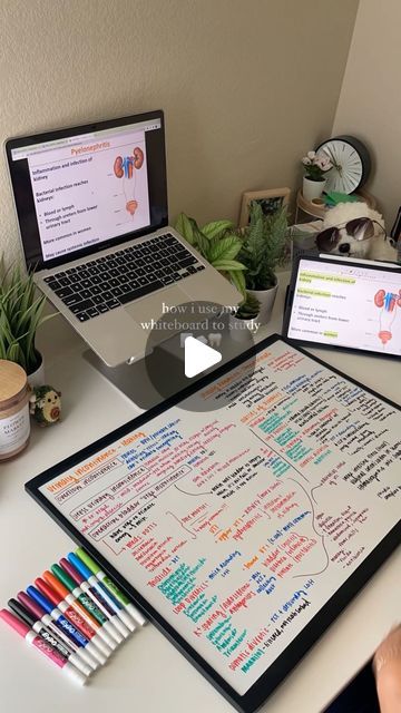 Razel | D2 Dental Student on Instagram: "one of my favorite study methods is using my whiteboard for active recall! 🧠 i jot down everything i know about a topic before a test, which helps me distinguish what i know from what i don’t. for the topics i need to study more, i write them down repeatedly until i understand them! ✨  • • •  #dentalstudent #dentalstudents #dentalschool #dentalschools #predental #predent #whiteboard #whiteboardstudy #whiteboardstudying #whiteboardnotes #studying #studygram #studytips #studyhacks #studymotivation #studynotes #studyaesthetic" Whiteboard Studying Aesthetic, Whiteboard For Studying, Active Recall, How To Study Without Distractions, Whiteboard Study Method, Whiteboard Studying, Whiteboard Method, Whiteboard Aesthetic, Study Core