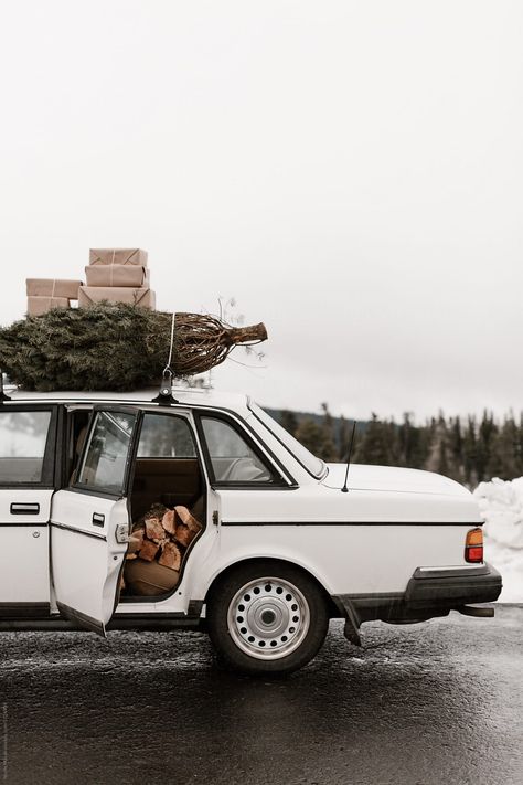 Car With Christmas Tree On Top, Christmas Tree On Car, Car Christmas Tree, Winter Aesthetics, Old American Cars, Vintage Christmas Photos, Aussie Christmas, Winter Car, Car Christmas