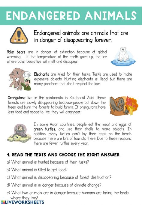 Endangered Animals - Interactive worksheet Endangered Species Activities, Endangered Animals Activities, Endangered Species Project, Endangered Animals Project, Animals Worksheet, Species Extinction, Animal Lessons, Animal Worksheets, Activities Worksheet