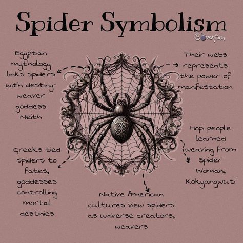 🕷️🕸️In some spiritual traditions, a spider crawling on you may be seen as a sign of good luck or fortune. This may be particularly true if the spider appears unexpectedly or in a place where spiders are not usually found. In addition to their symbolism and role in folklore, spiders also have spiritual meanings in many cultures. In some Native American cultures, spiders are seen as protectors and guardians of the home, while in Hinduism, spiders are associated with the third eye and the abili... Spiders Symbolism, Spider Symbolism Meaning, Spider Spirit Animal Meaning, Animals And Their Symbolism, Omens Signs Symbols, Spider Spirit Animal, Spider Witchcraft, Spider Spiritual Meaning, Spider Meaning