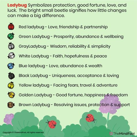 Ladybug Meaning & Symbolism – A Complete Guide Ladybug Symbolism Meaning, Insect Meaning Spiritual, Spiritual Meaning Of Ladybugs, Orange Ladybugs Spiritual Meaning, Beetle Spiritual Meaning, Ladybug Spiritual Meaning, Ladybug Symbolism, Insect Symbolism, Ladybug Meaning