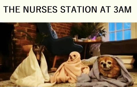 Nurse Jokes Night Shift, Night Nurse Humor, Er Nurse Humor, Night Shift Nurse Humor, Cna Humor, Vet Tech Humor, Night Shift Humor, Cna Life, Hospital Humor