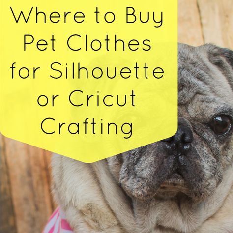 Looking for blank dog shirts to put heat transfer vinyl on? Read this list, then start shopping! Cricut Small Business, Silhouette Curio, Dog Shirts, Dog Projects, Diy Jewelry Findings, Silhouette Cameo Projects, Dog Obedience, Dog Training Obedience, Silhouette Machine