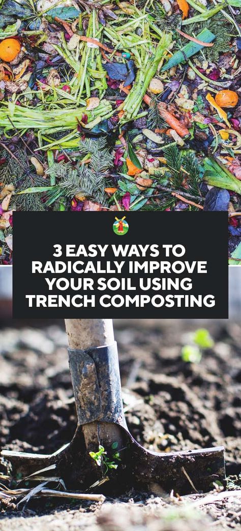 3 Easy Ways to Radically Improve Your Soil Using Trench Composting Trench Composting, Worm Farms, Tomato Container Gardening, Composting Ideas, Helping Nature, Vertical Container Gardening, Morning Chores, Make Compost, Container Gardening Ideas