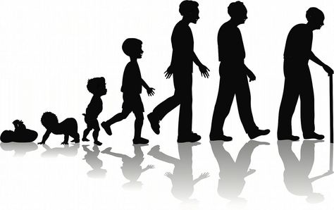 This is the depiction of the growth and development of human. A human's growth and development consists of many things you gain more knowledge, you grow taller, you body becomes stronger as in your bones. Human Life Cycle, Human Growth And Development, True Meaning Of Life, Eye Facts, A Child Is Born, Human Development, George Orwell, Life Stages, Joy Of Life