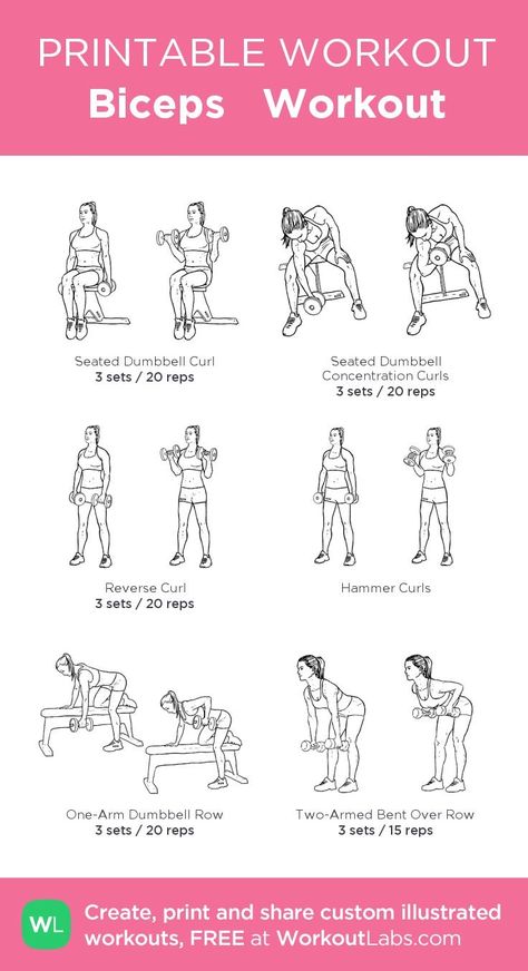 Bus And Tris Workout, Bicep And Shoulder Workout, Biceps Workout For Women, Back And Bicep Workout Dumbell, Chest And Bicep Workout, Bicep Workout Women, Bicep Workout Gym, Workout Female, Back And Bicep Workout