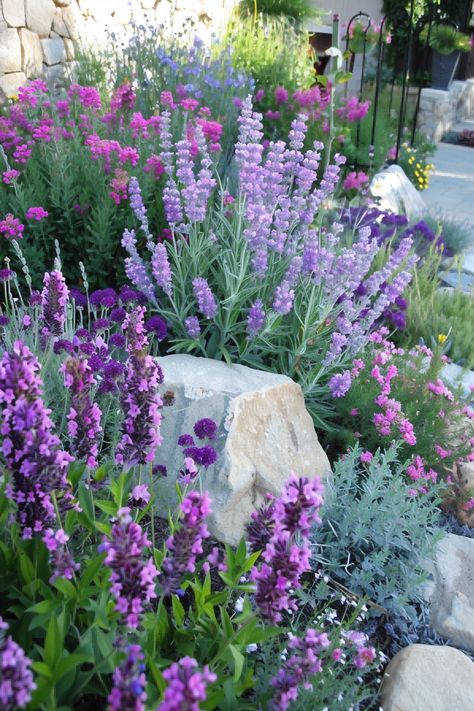 Perennial Flower Garden Ideas, Pink And Purple Landscaping, Hydrangea In Flower Bed, Raised Flower Bed Planting Ideas, Creative Flower Beds, Gardens With Lavender, Cottage Style Flower Beds, Flower Bed With Hydrangeas, Pink And Purple Flower Garden